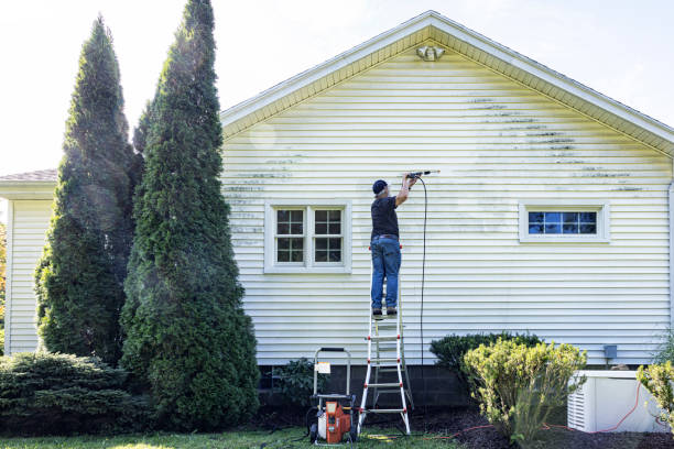 Animal Enclosure Cleaning in Fountain Hill, PA